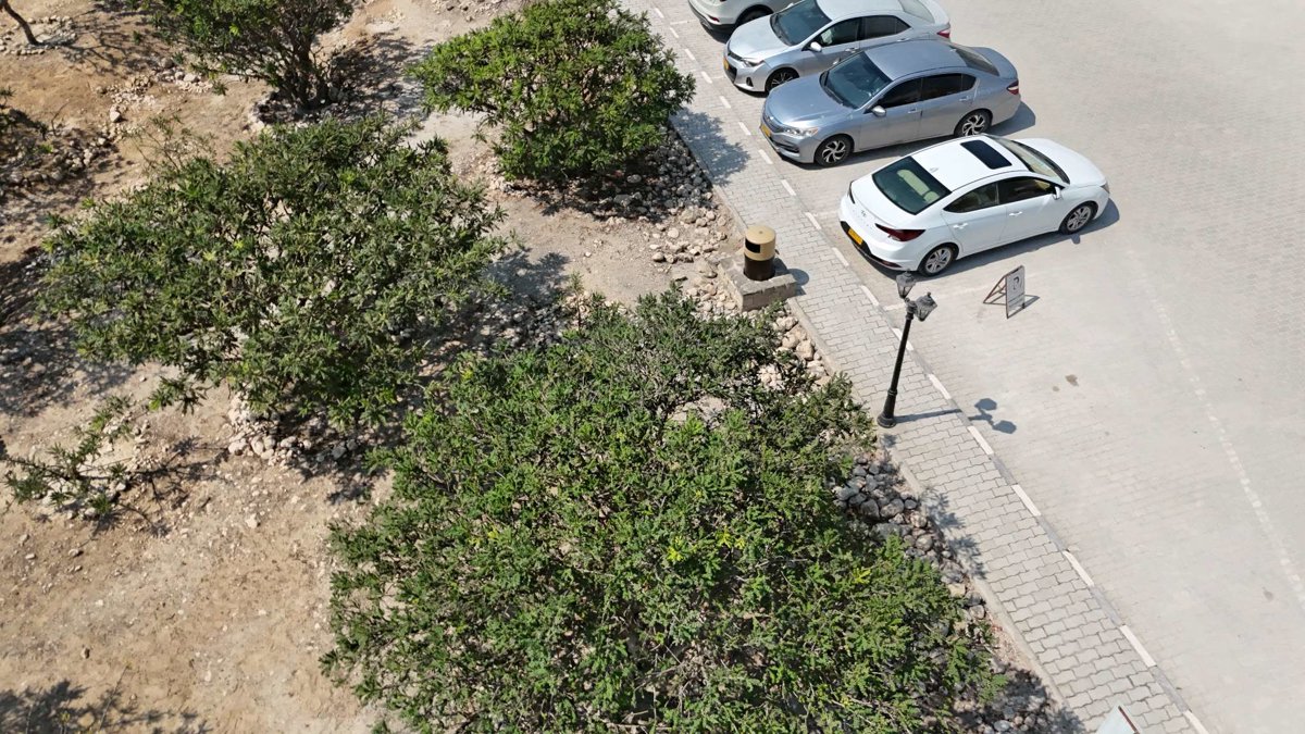 Al Baleed Archaeological Site Archeological Park