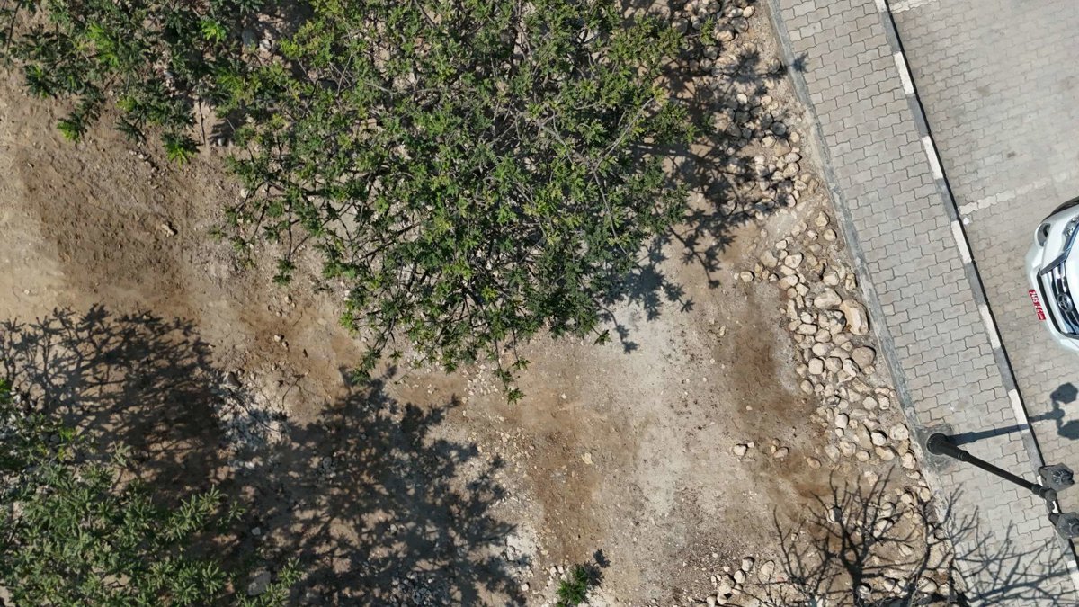 Al Baleed Archaeological Site Archeological Park