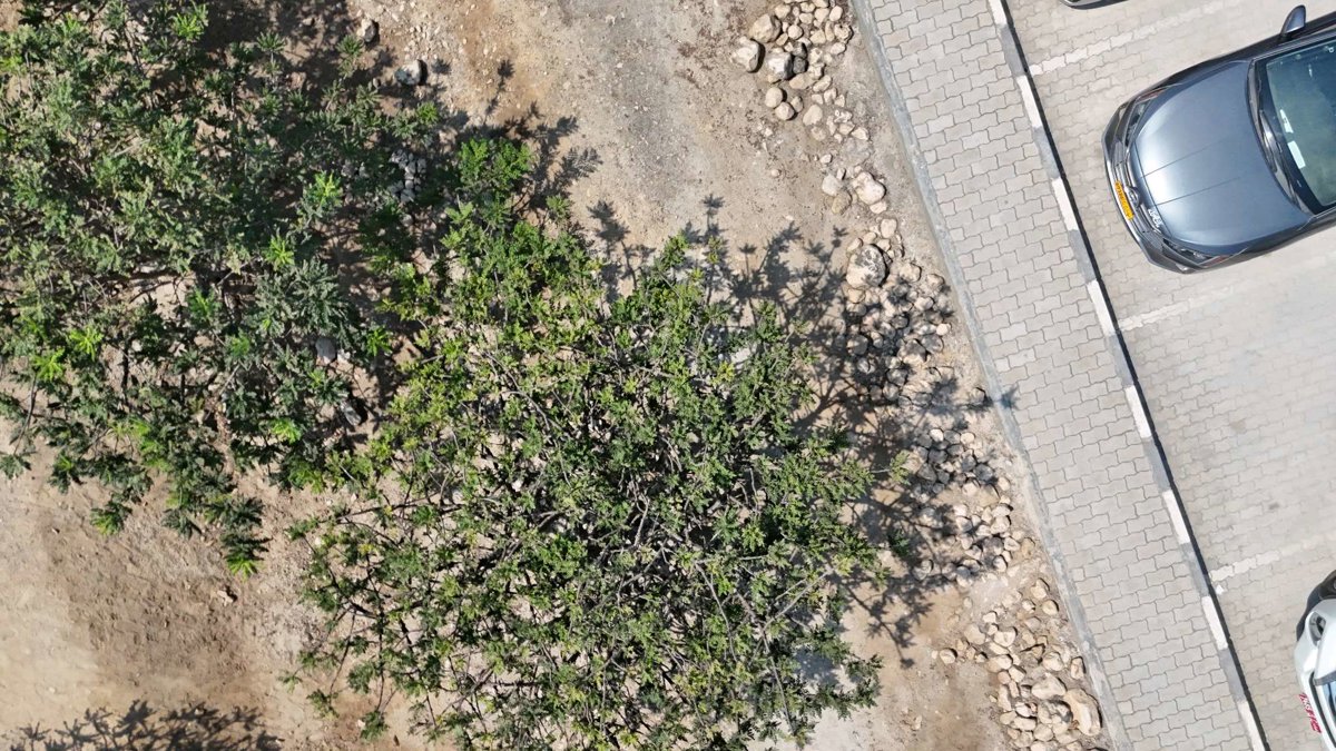 Al Baleed Archaeological Site Archeological Park