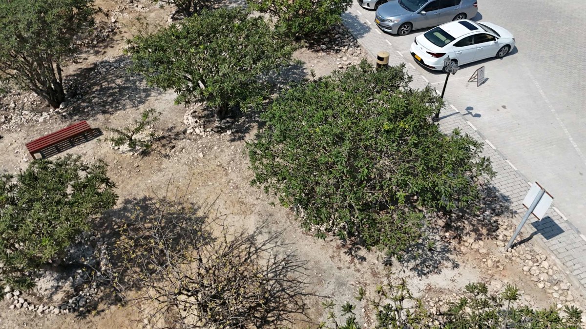 Al Baleed Archaeological Site Museum of the Frankincense Land