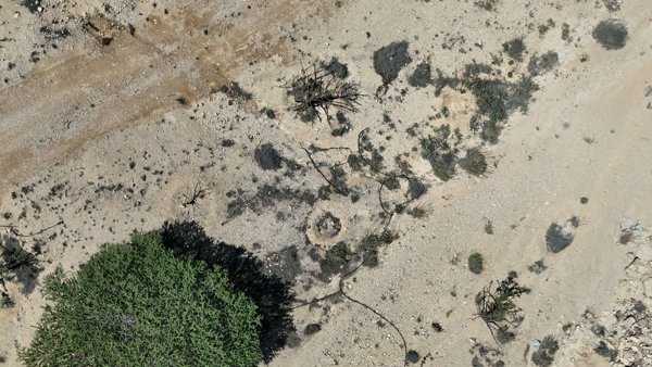 Natural Park of Frankincense Tree Wadi Dawkah