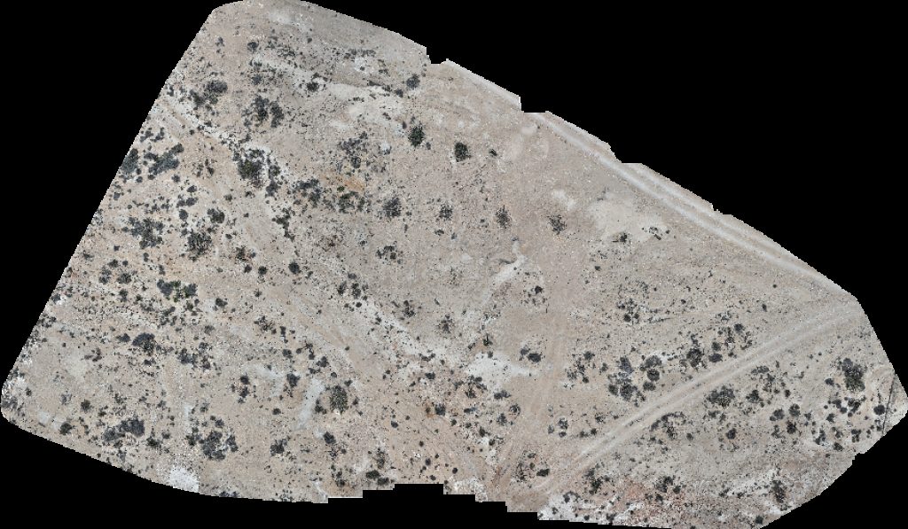 Wadi Dawkah Natural Park of Frankincense Tree