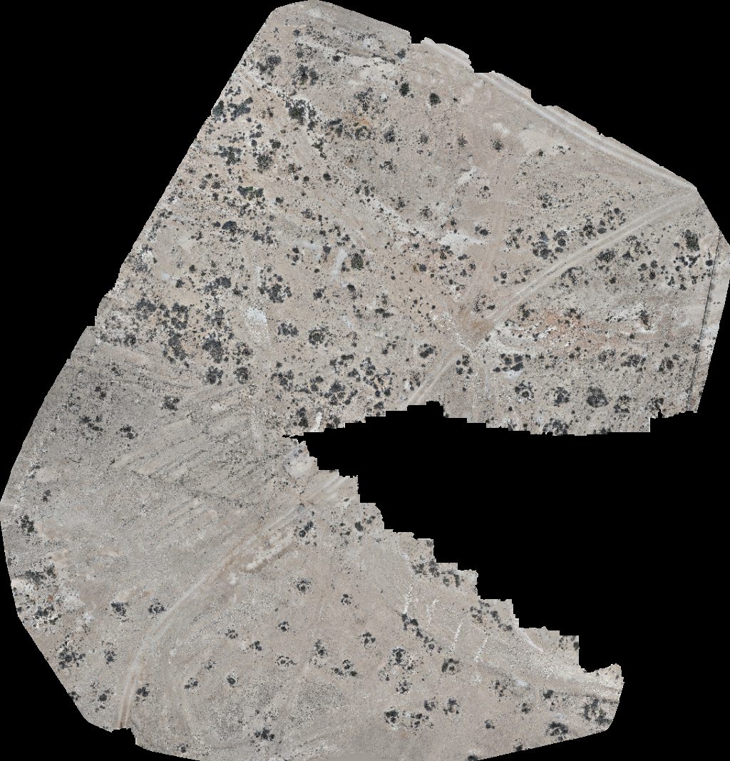 Wadi Dawkah Natural Park of Frankincense Tree