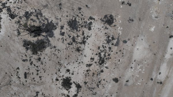 Wadi Dawkah Natural Park of Frankincense Tree