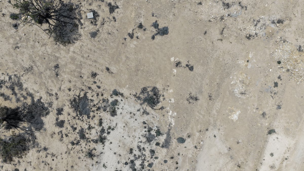 Wadi Dawkah Natural Park of Frankincense Tree