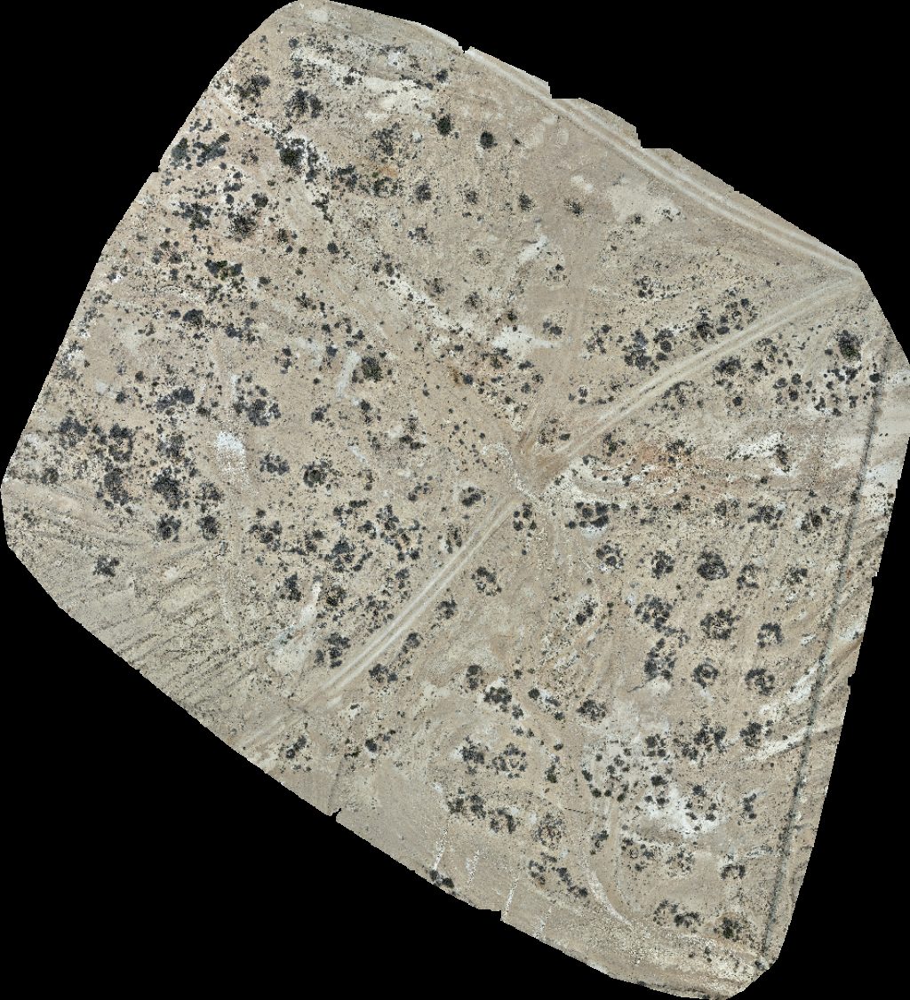 Wadi Dawkah Natural Park of Frankincense Tree