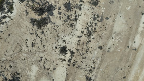 Wadi Dawkah Natural Park of Frankincense Tree