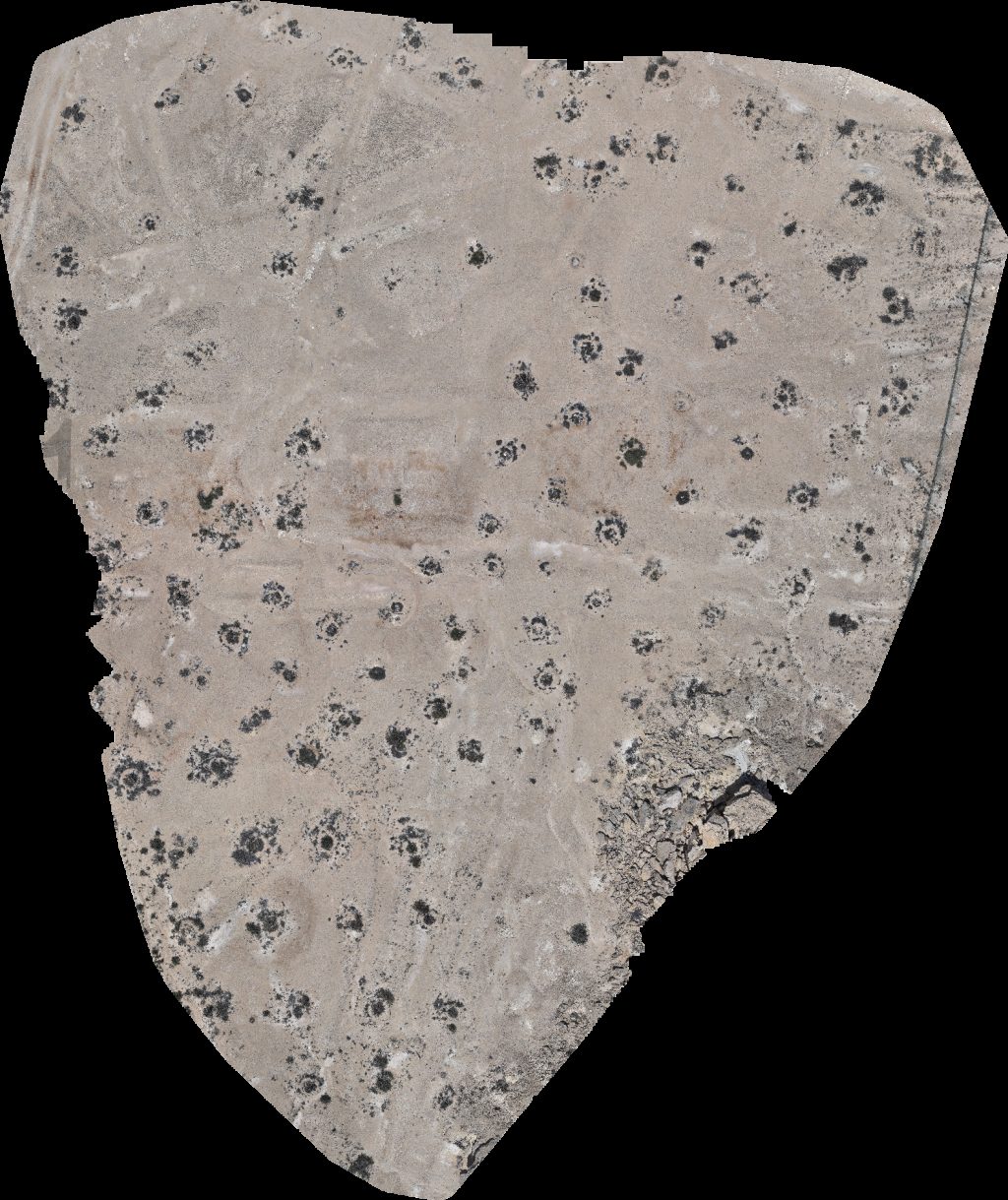 Wadi Dawkah Natural Park of Frankincense Tree