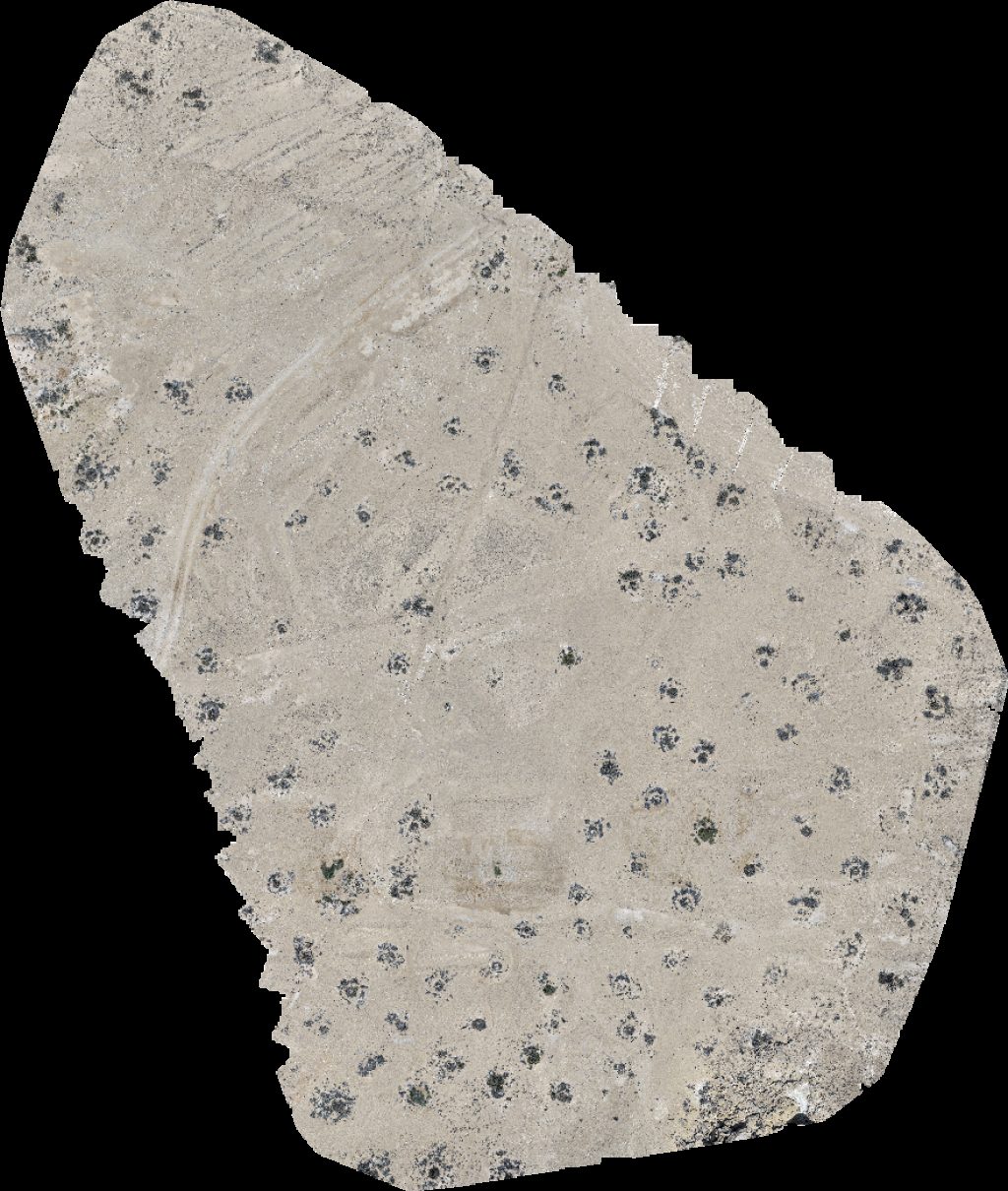 Wadi Dawkah Natural Park of Frankincense Tree