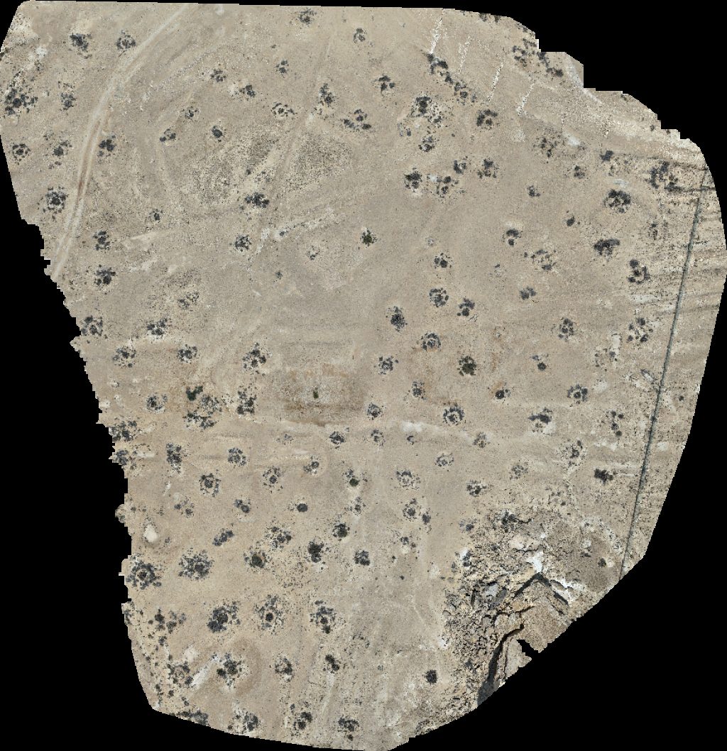 Wadi Dawkah Natural Park of Frankincense Tree