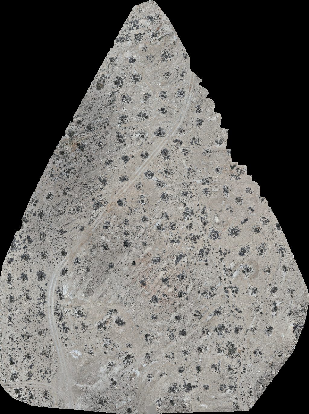 Wadi Dawkah Natural Park of Frankincense Tree