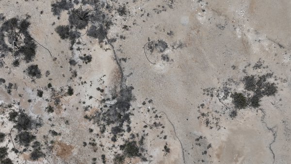 Wadi Dawkah Natural Park of Frankincense Tree