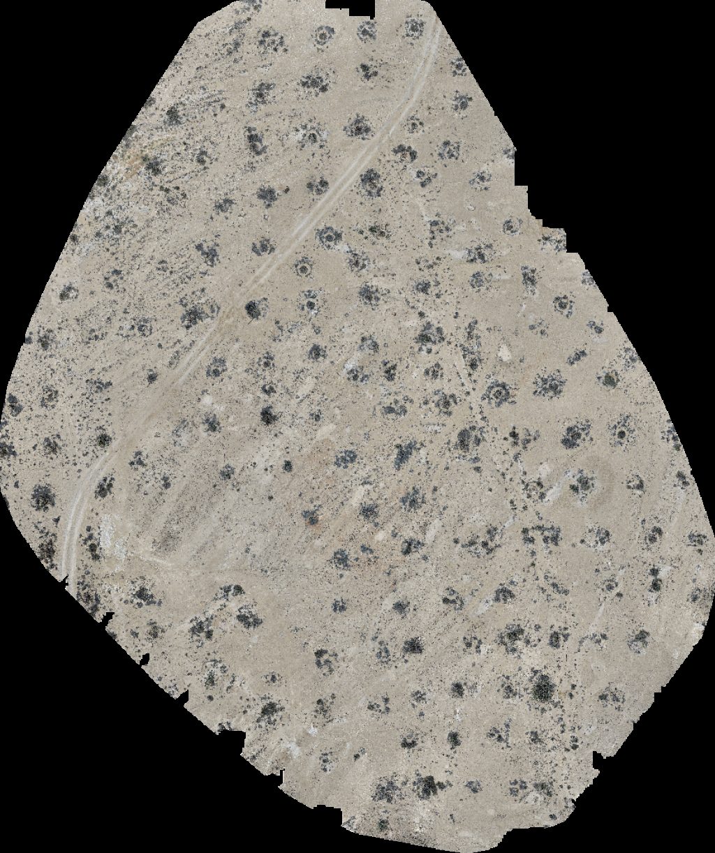 Wadi Dawkah Natural Park of Frankincense Tree