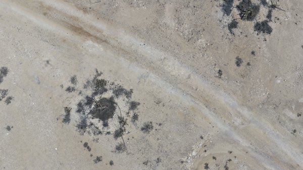 Wadi Dawkah Natural Park of Frankincense Tree