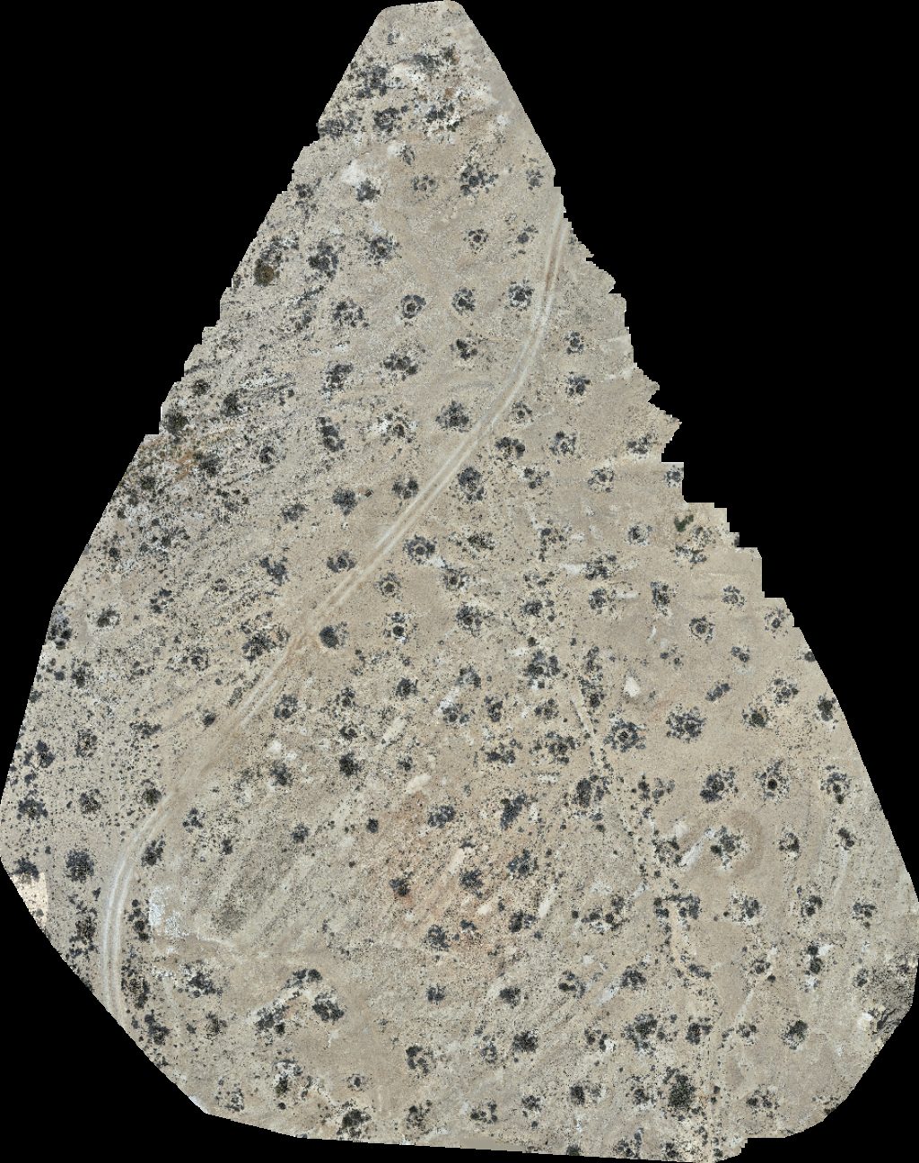 Wadi Dawkah Natural Park of Frankincense Tree