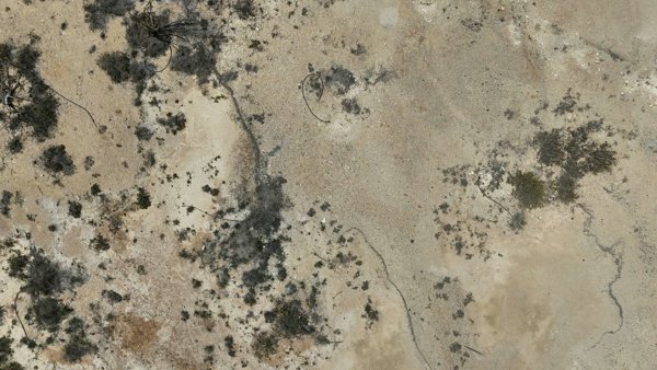 Wadi Dawkah Natural Park of Frankincense Tree