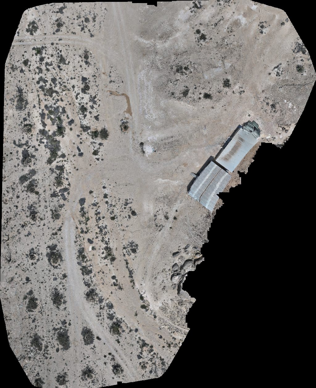 Wadi Dawkah Natural Park of Frankincense Tree