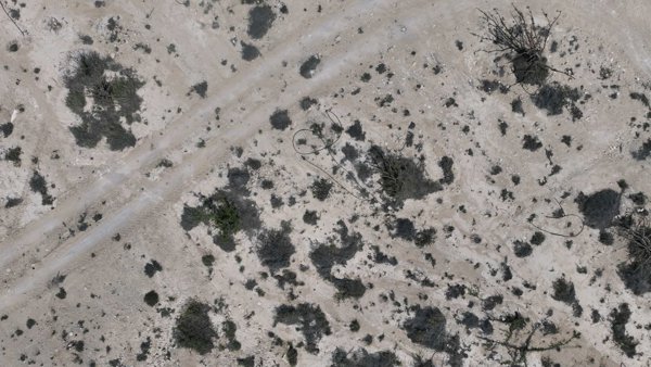 Wadi Dawkah Natural Park of Frankincense Tree
