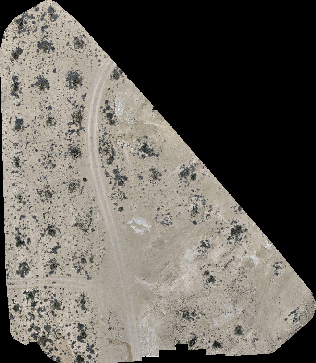 Wadi Dawkah Natural Park of Frankincense Tree