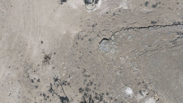 Wadi Dawkah Natural Park of Frankincense Tree