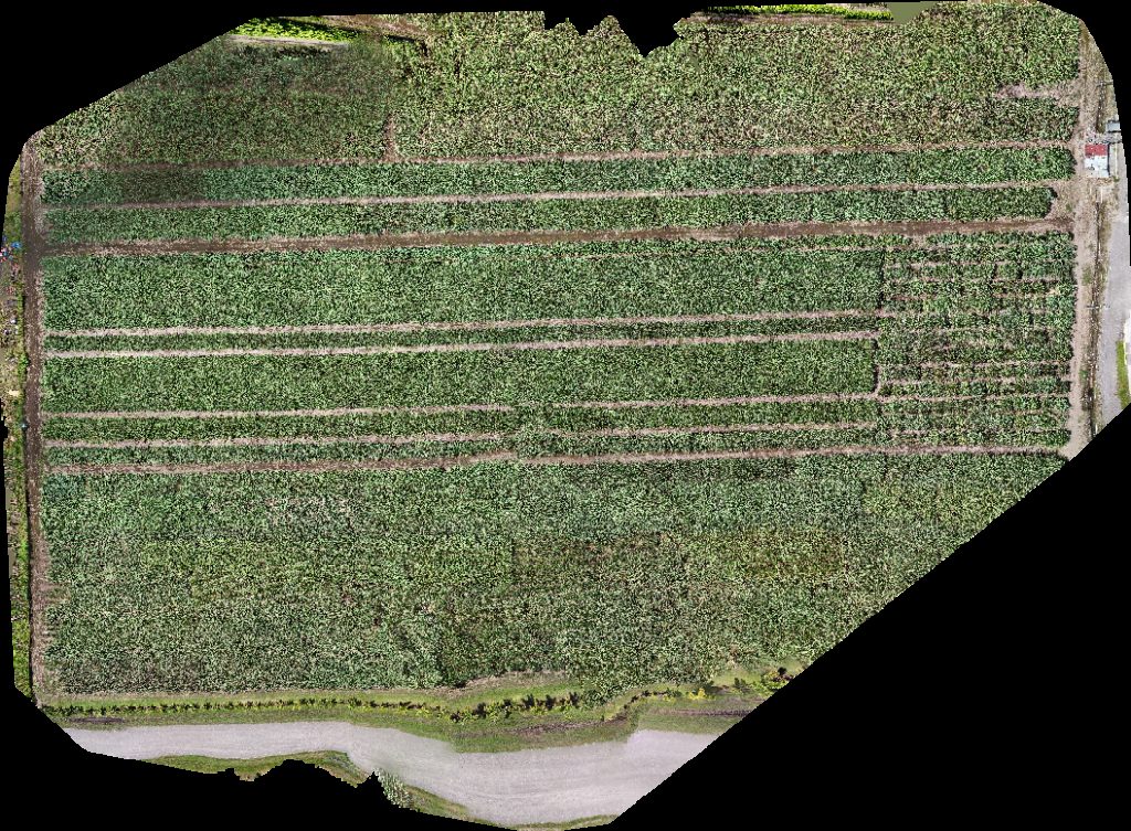 Servicentro S A Parador fotográfico