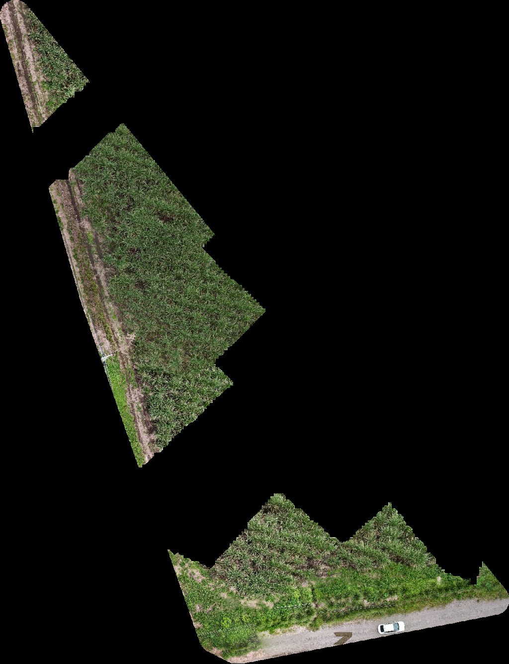 Abarroteria Alice ESTADIO DE BÉISBOL LA LOMA SAN PEDRO