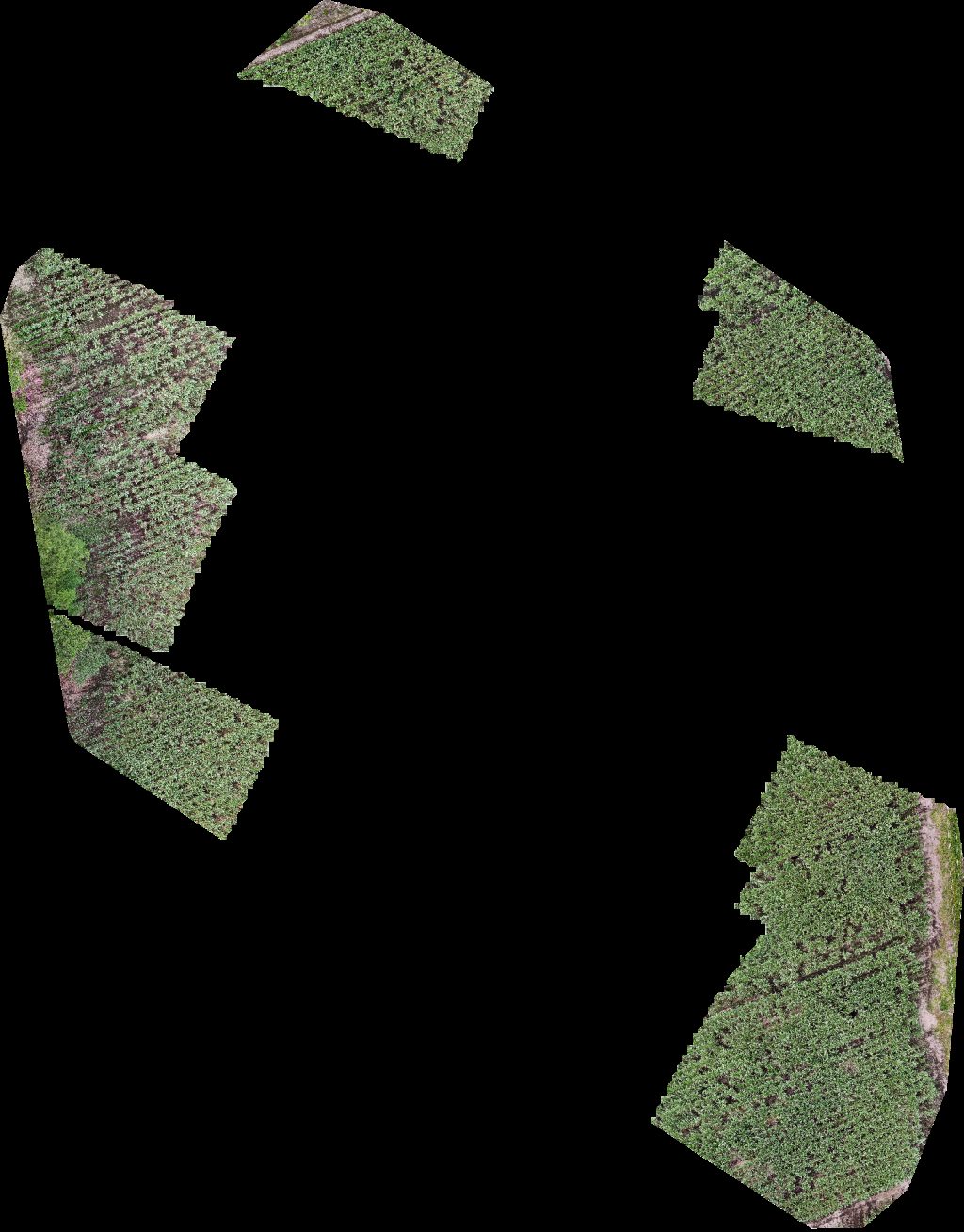 Abarroteria Alice Jetski motor