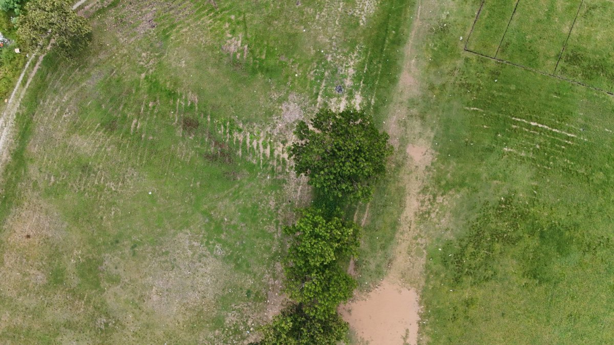 UPNG VC OVAL Waigani Primary Elementary School