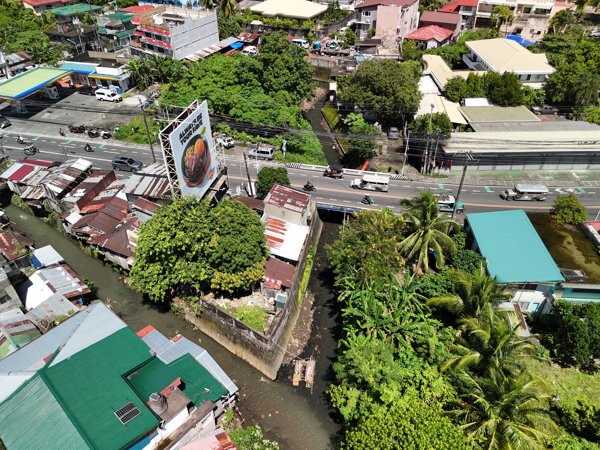 Eden Rose Cup Jun s Café and Bar