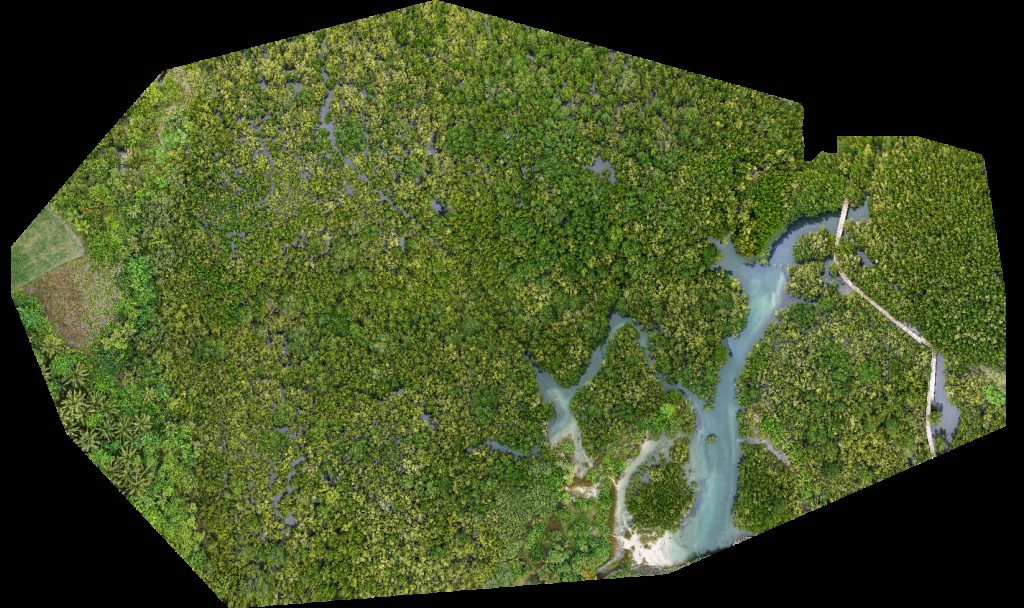 Bazaar de Cabarian Ereño s meat frozen goods