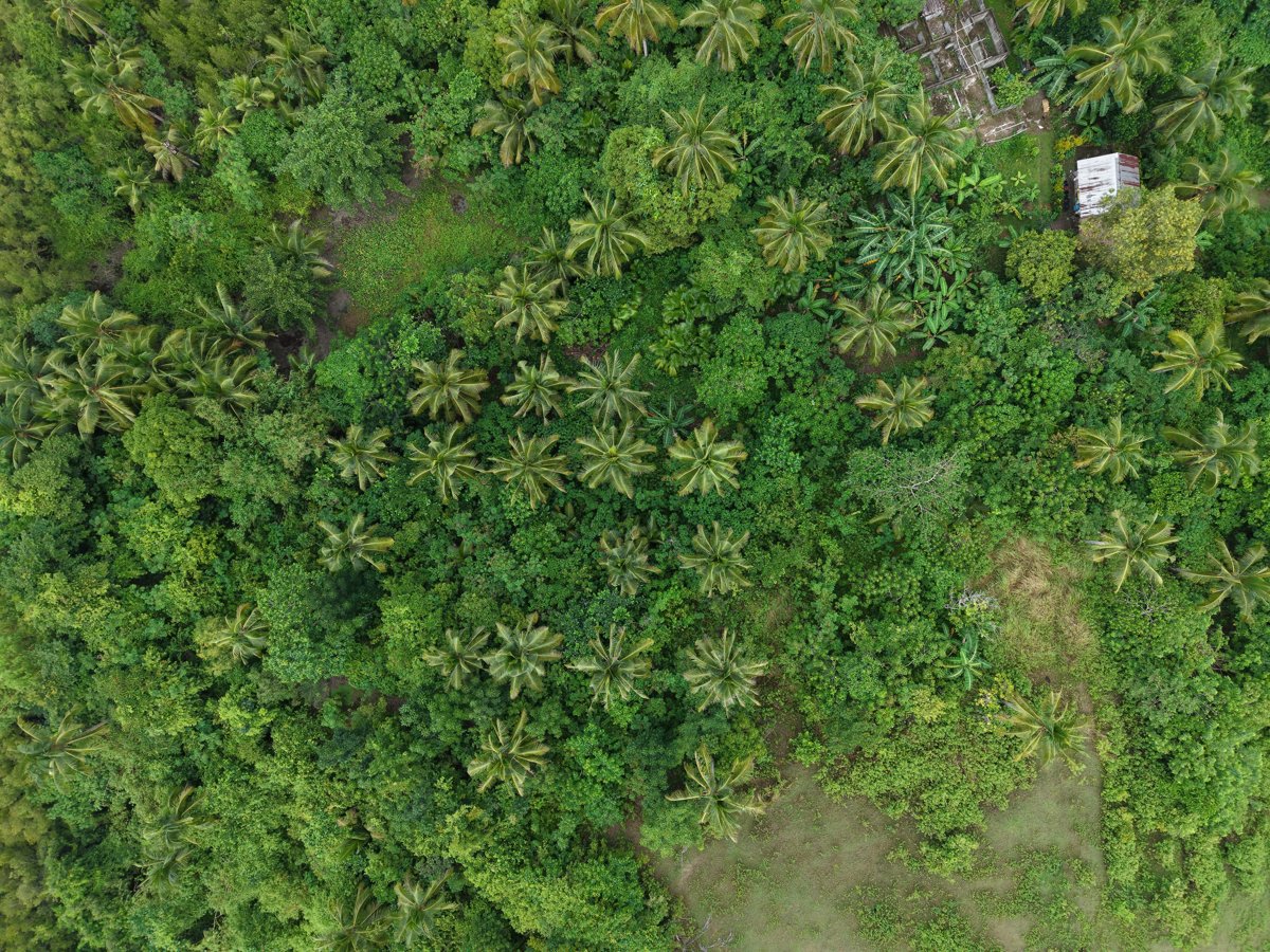 Bazaar de Cabarian Ereño s meat frozen goods