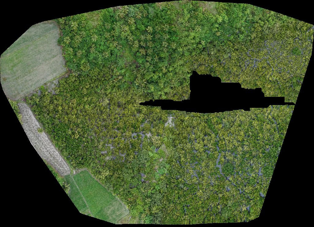 Bazaar de Cabarian Ereño s meat frozen goods