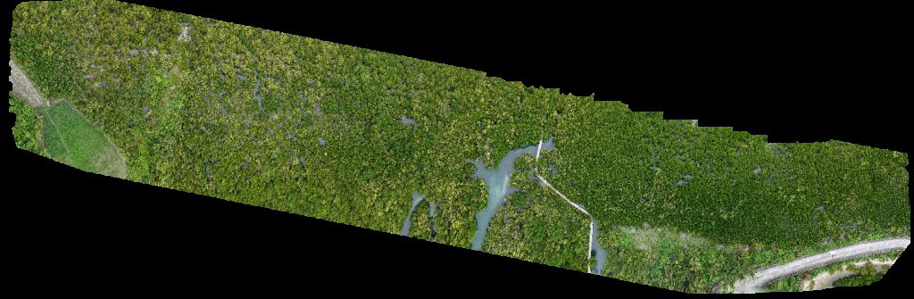 Bazaar de Cabarian Ereño s meat frozen goods