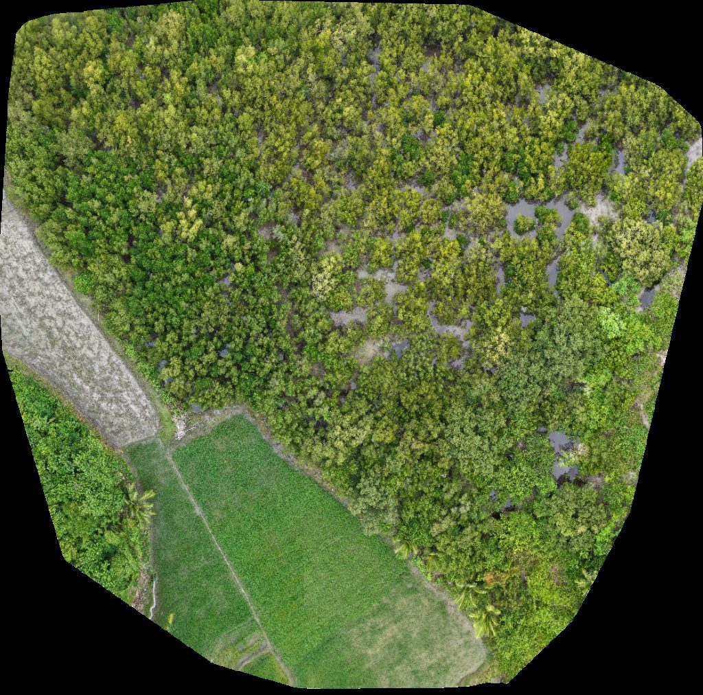 Bazaar de Cabarian Ereño s meat frozen goods