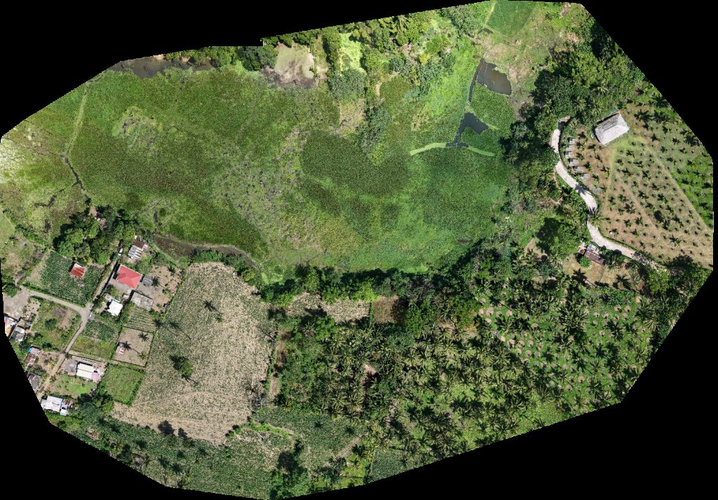 Busay lake Malasa Pares ni Yuy