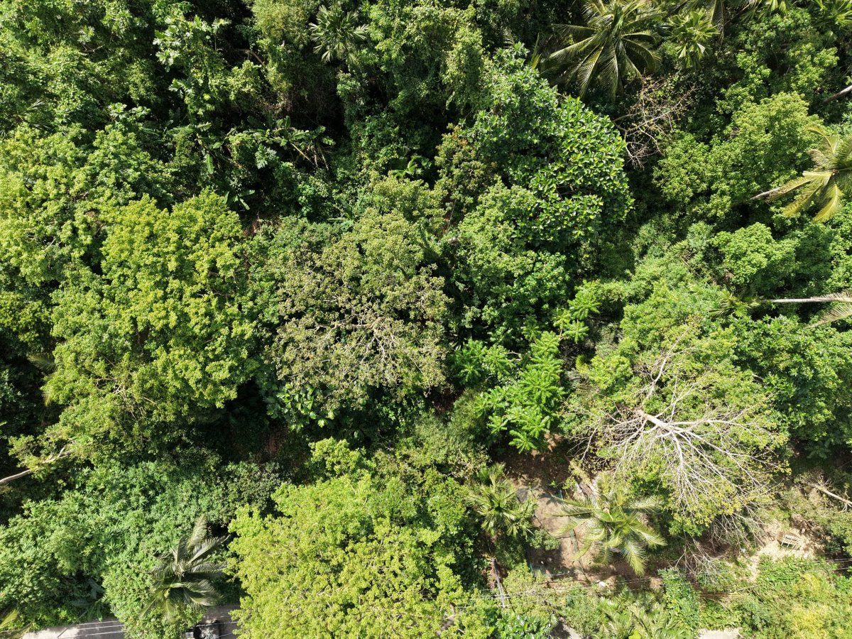 Tres Hermano Backyard Lunomiel Honey Products