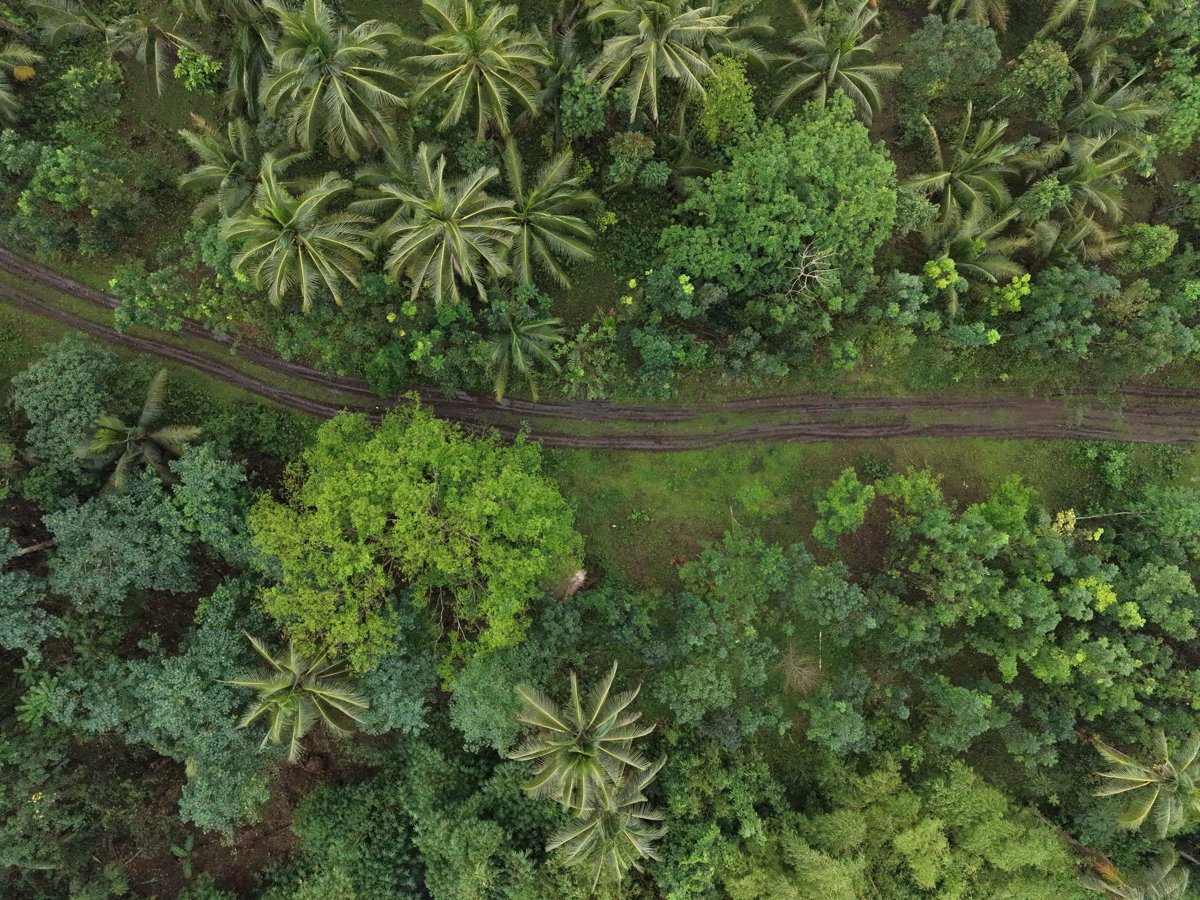 Tres Hermano Backyard Worship Servive