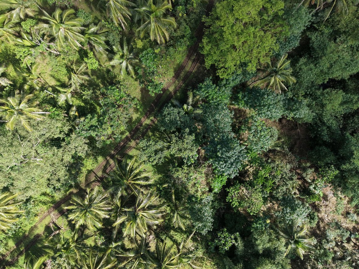 Tres Hermano Backyard Worship Servive