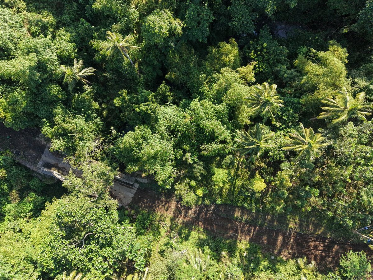 Tres Hermano Backyard Worship Servive