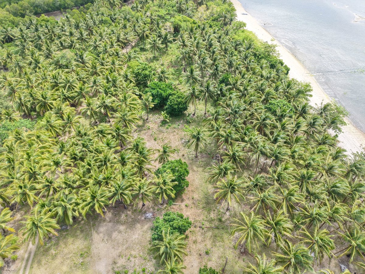 GEM Beach Front Camping Ground d Urnoms