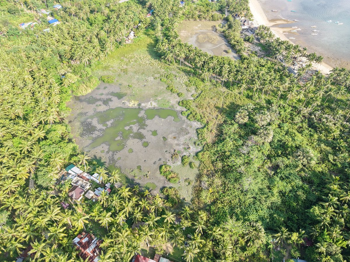 Pardilla Beach Resort QUEENTERRI