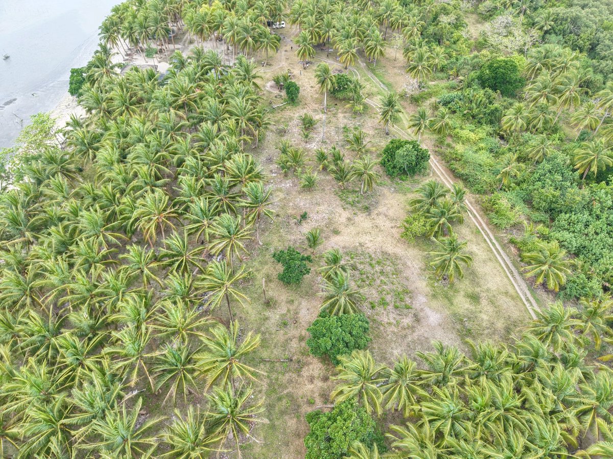 El nico Beach Resort Enbeach staycation