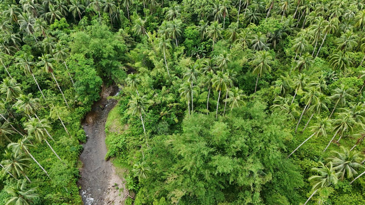 Good Head Goat Farm Sagmaw Feeds Supply