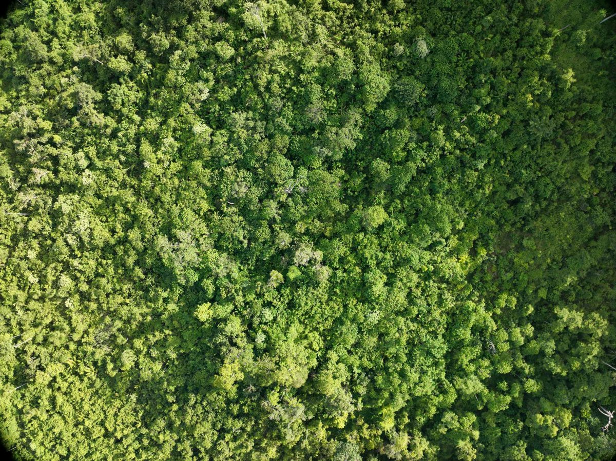 Apolen Quarrying Daan elementary school