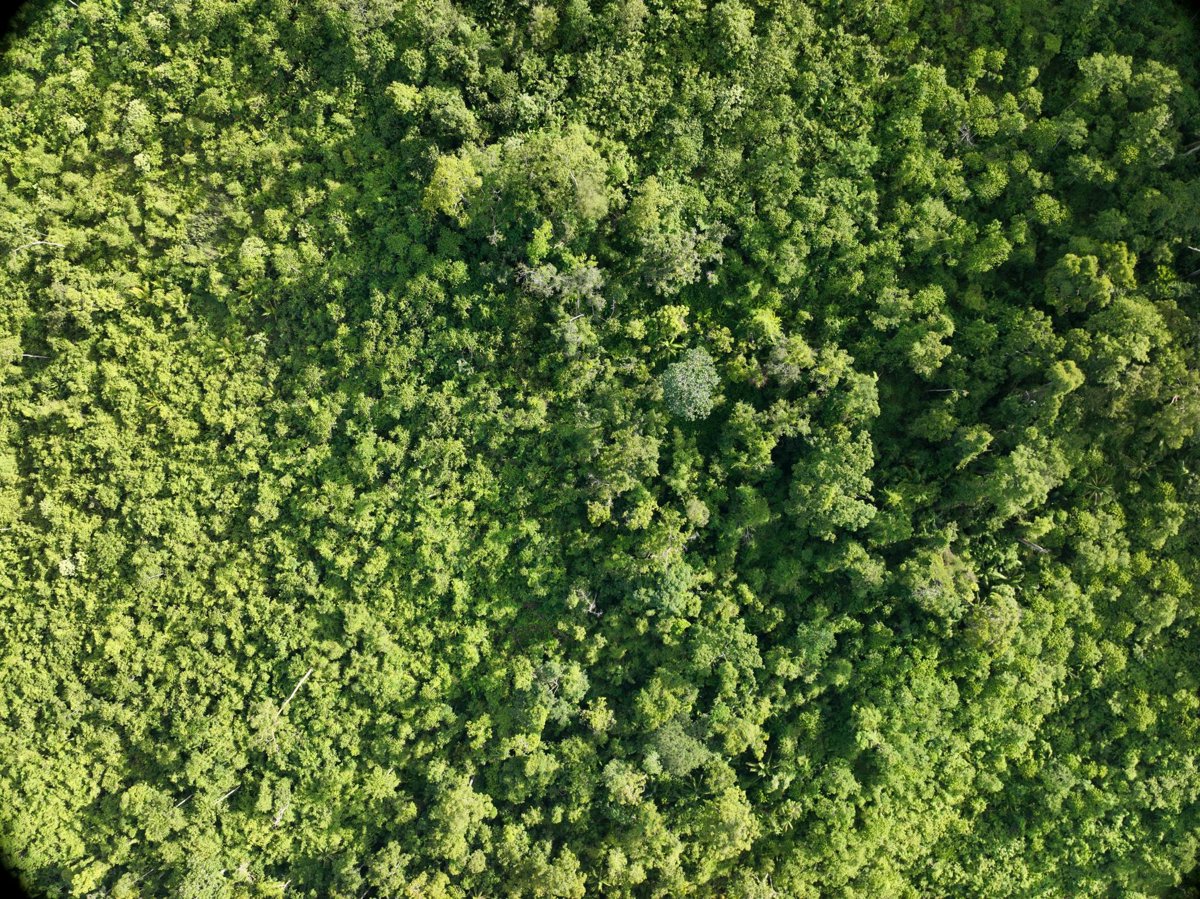Apolen Quarrying Daan elementary school