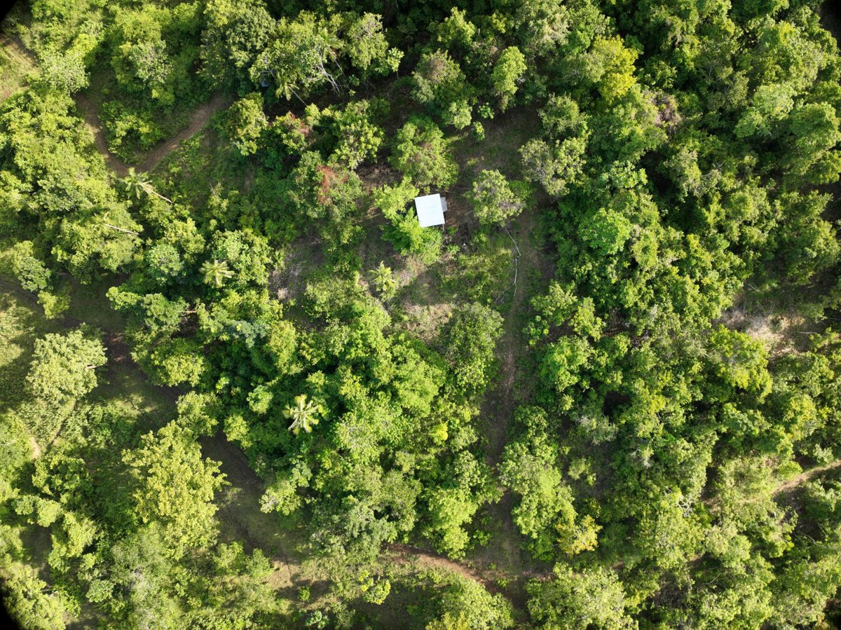 Gintong Butil Agrifarm DORMITORY LUZVIMINDA SERVICE CENTER