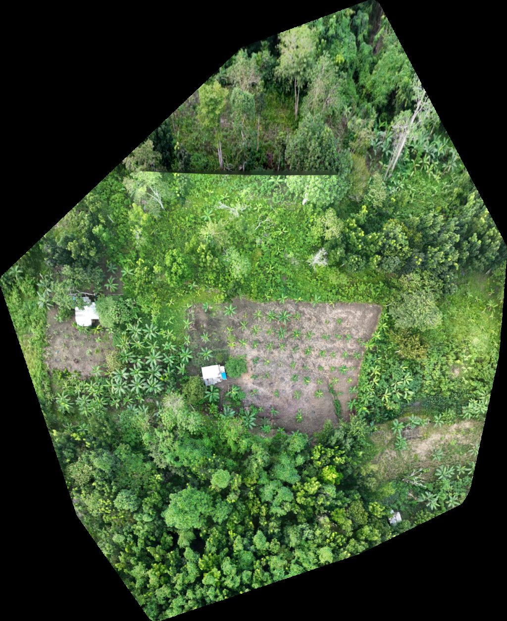 Iglesia Ni Cristo Palawan Luzviminda Kingdom Hall of Jehovah s Witnesses