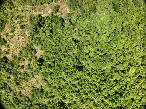 Montible bridge 2 Looban