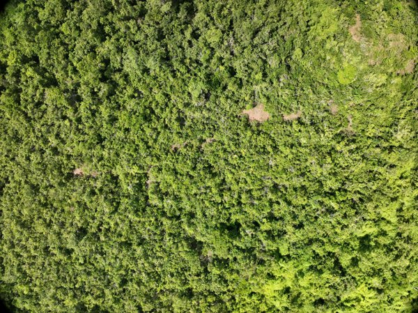 Napsan Intersection Batching Plant