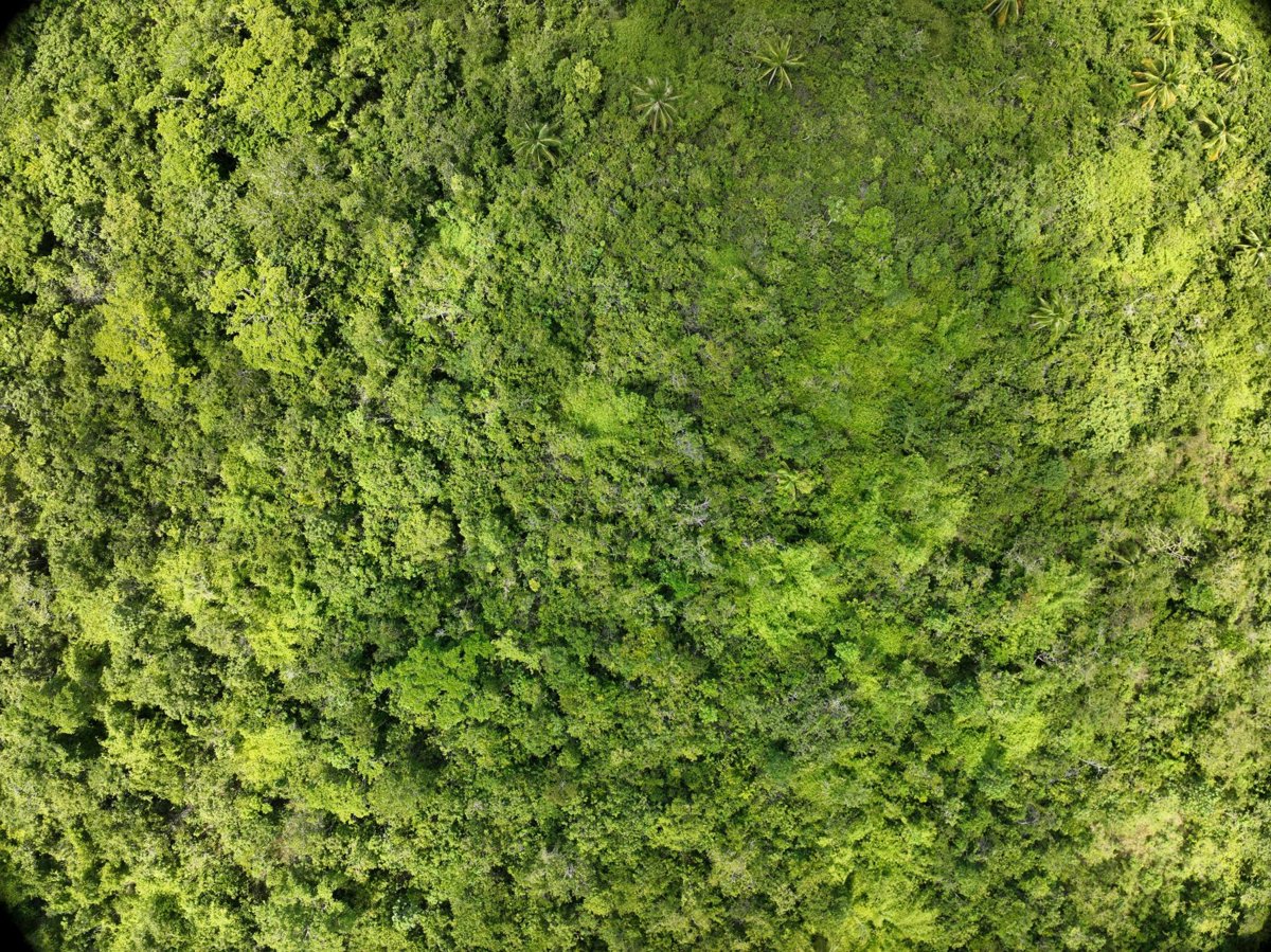 Napsan Intersection Batching Plant